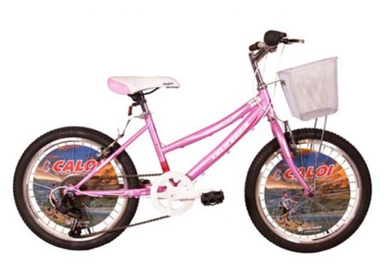 Bicicleta milano 2025 fiorenza aro 20
